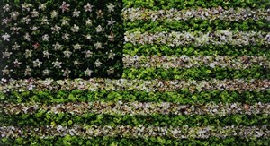 Image description is not available for 2013.025